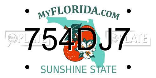 754DJ7 Florida License Plate