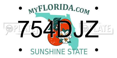 754DJZ Florida License Plate