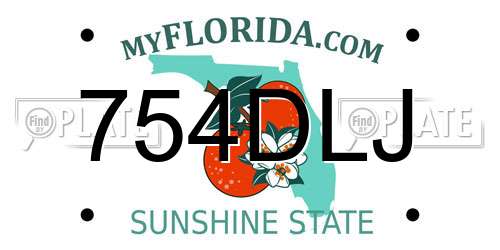 754DLJ Florida License Plate
