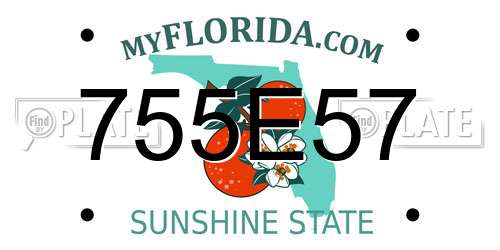 755E57 Florida License Plate