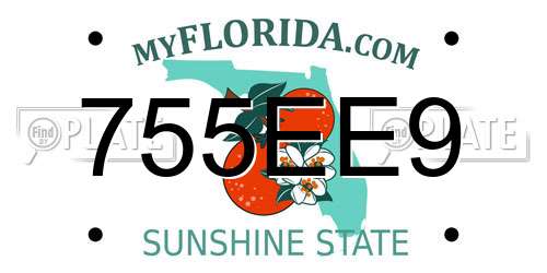 755EE9 Florida License Plate