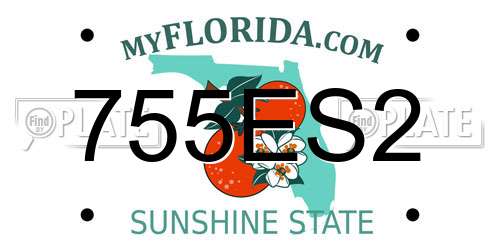 755ES2 Florida License Plate