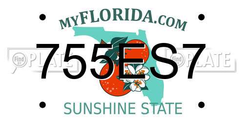 755ES7 Florida License Plate