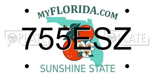 755ESZ Florida License Plate