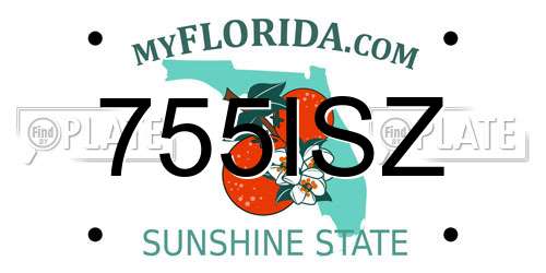 755ISZ Florida License Plate