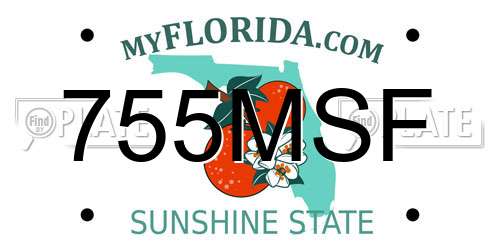 755MSF Florida License Plate