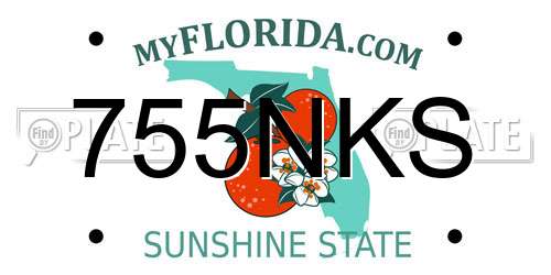 755NKS Florida License Plate