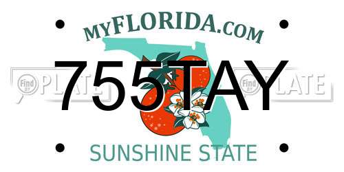 755TAY Florida License Plate