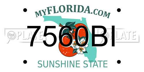 7560BI Florida License Plate