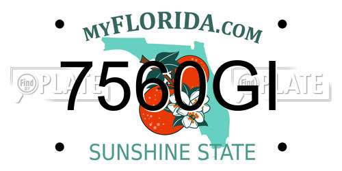 7560GI Florida License Plate