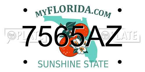 7565AZ Florida License Plate