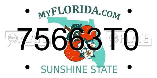 75663T0 Florida License Plate