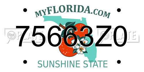 75663Z0 Florida License Plate