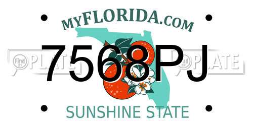 7568PJ Florida License Plate