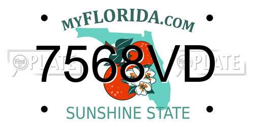 7568VD Florida License Plate