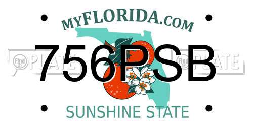 756PSB Florida License Plate