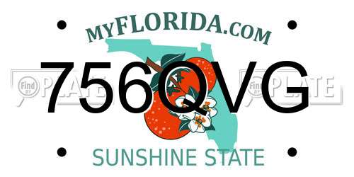 756QVG Florida License Plate