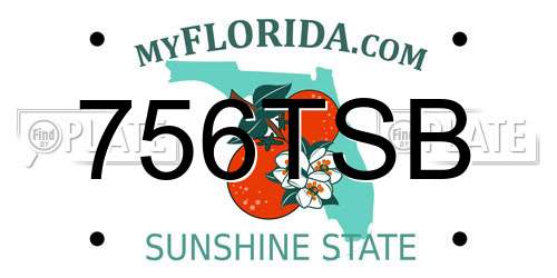 756TSB Florida License Plate