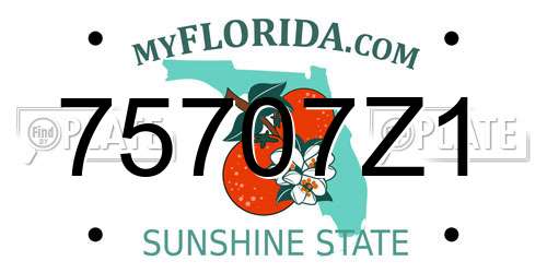 75707Z1 Florida License Plate