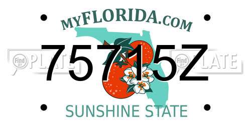 75715Z Florida License Plate