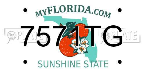 7571TG Florida License Plate