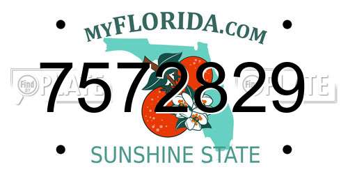 7572829 Florida License Plate