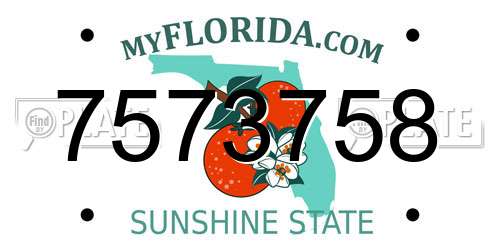 7573758 Florida License Plate