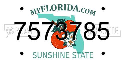 7573785 Florida License Plate