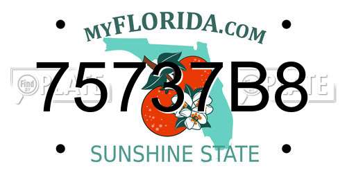 75737B8 Florida License Plate