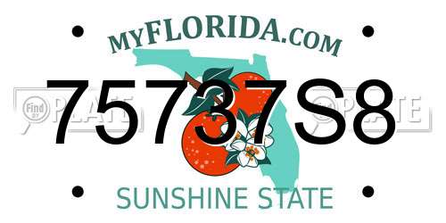 75737S8 Florida License Plate