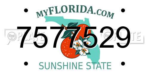 7577529 Florida License Plate