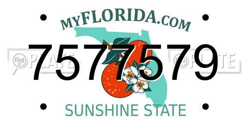 7577579 Florida License Plate