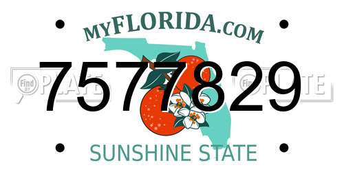 7577829 Florida License Plate