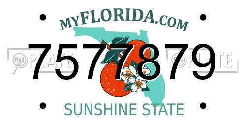 7577879 Florida License Plate