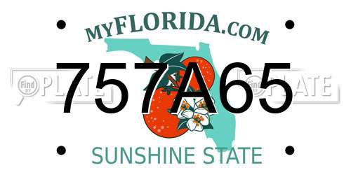 757A65 Florida License Plate