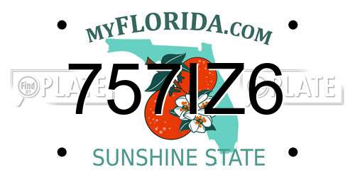 757IZ6 Florida License Plate