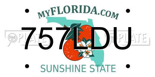 757LDU Florida License Plate