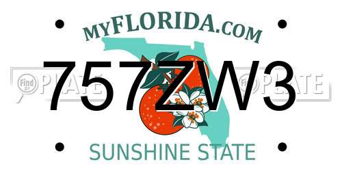 757ZW3 Florida License Plate