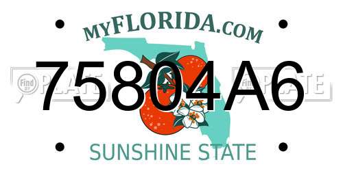 75804A6 Florida License Plate