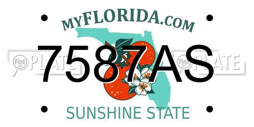 7587AS Florida License Plate