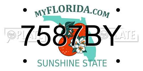 7587BY Florida License Plate