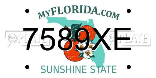 7589XE Florida License Plate