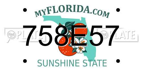 758E57 Florida License Plate