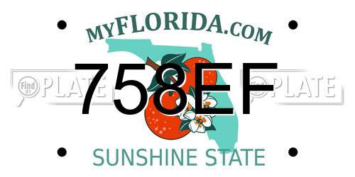 758EF Florida License Plate