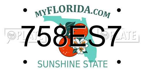 758ES7 Florida License Plate