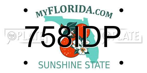 758IDP Florida License Plate