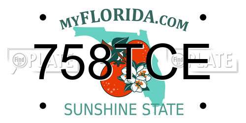 758TCE Florida License Plate
