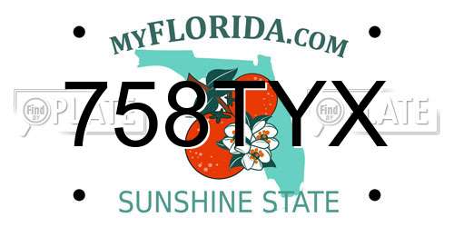 758TYX Florida License Plate