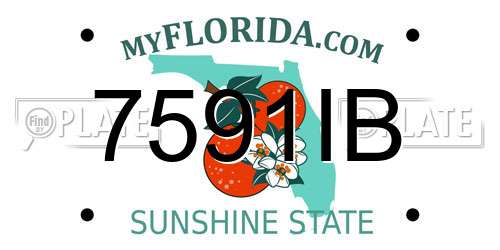 7591IB Florida License Plate
