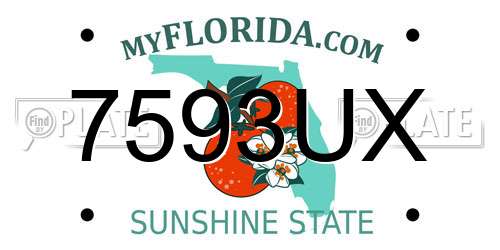 7593UX Florida License Plate